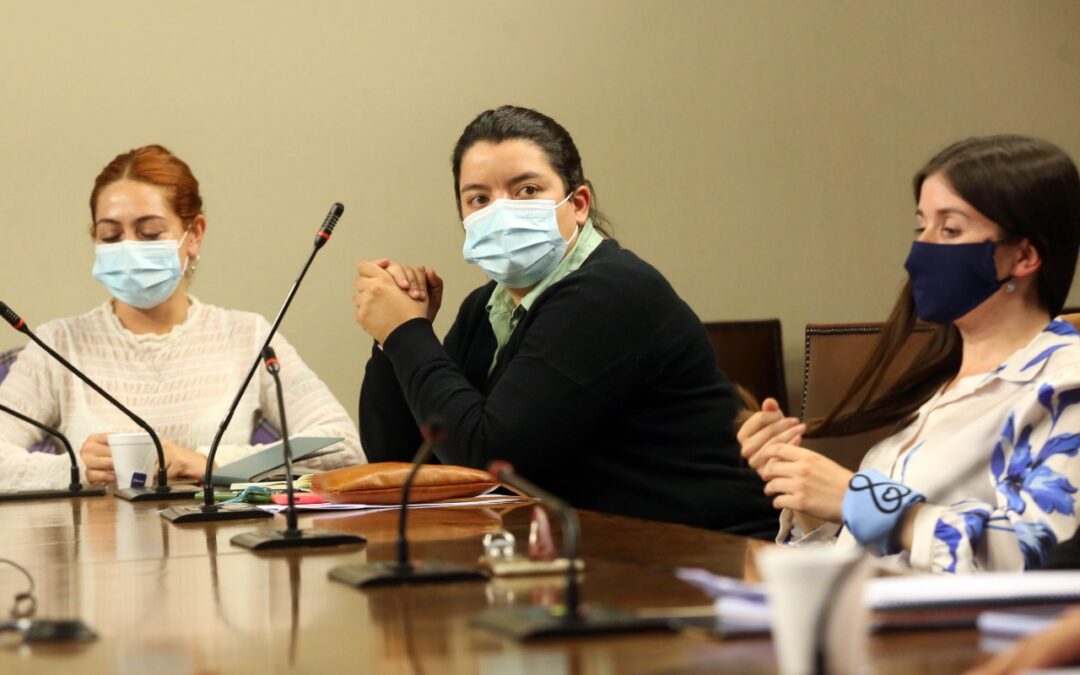 Diputada Romero pide al Gobierno crear licencia médica para que trabajadores puedan cuidar a sus hijos con covid-19*