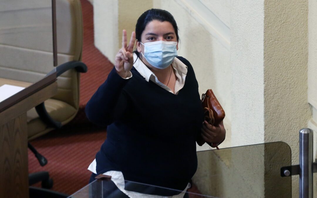 Diputada electa Natalia Romero anuncia agenda legislativa en protección de víctimas de VIF: incluye reubicación geográfica, acceso garantizado a un trabajo, nuevas casas de acogida y creación de la figura de “testigo protegido”