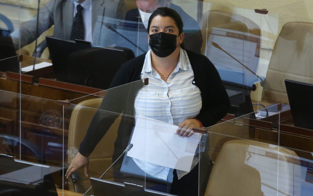 Diputada Romero llama al gobierno a impulsar nuevo mecanismo de estabilización de precios para evitar alza de más de un 20% en las cuentas de la luz