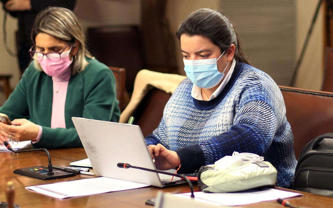 Diputada Romero presenta proyecto que obliga al Gobierno a expulsar en 60 días a la mayoría de extranjeros condenados en Chile