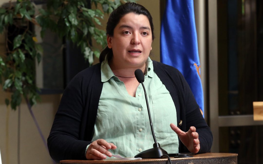 Diputada Romero llama a apoyar con recursos a los vecinos que quieren cerrar calles y pasajes