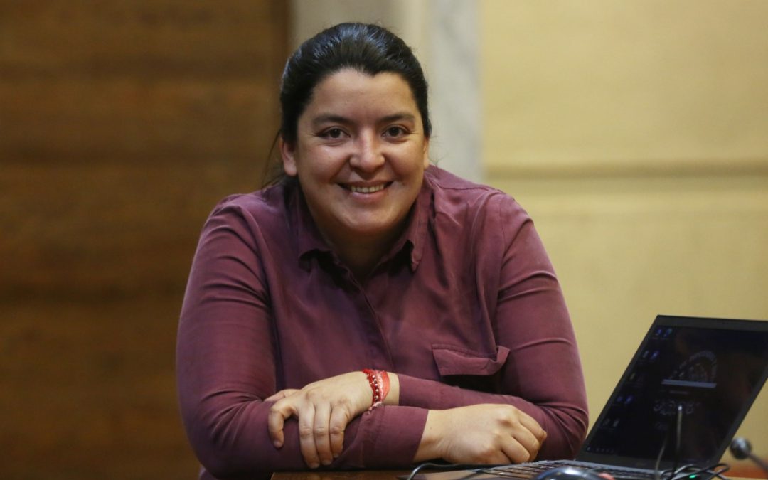 Diputada Romero destaca promulgación de Ley Antonia e insiste en avanzar con proyecto que asegura a las mujeres una vida libre de violencia