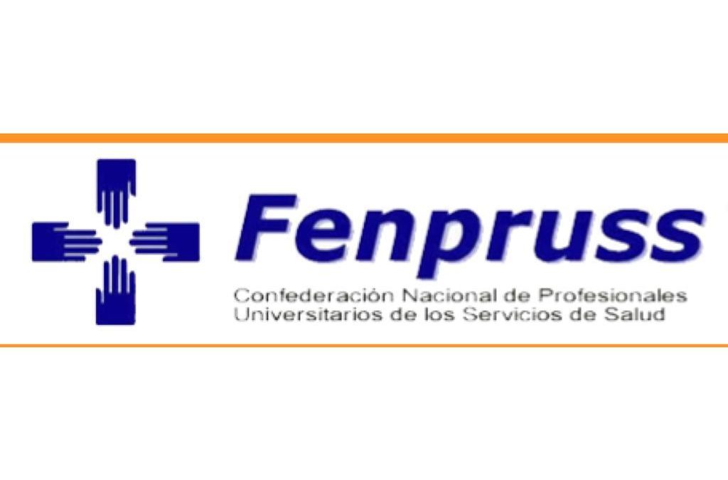 Fenpruss Hospital Coinco se reune con diputada Natalia Romero, para apoyar públicamente a los funcionarios/as Covid