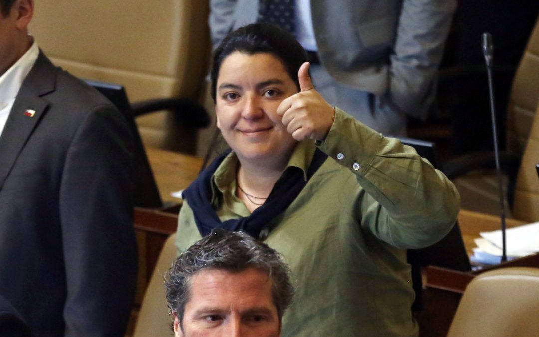 Diputada Romero destaca entrada en vigencia de la “Ley del Mono” y llama a vecinos de O’Higgins a regularizar obras y ampliaciones de viviendas