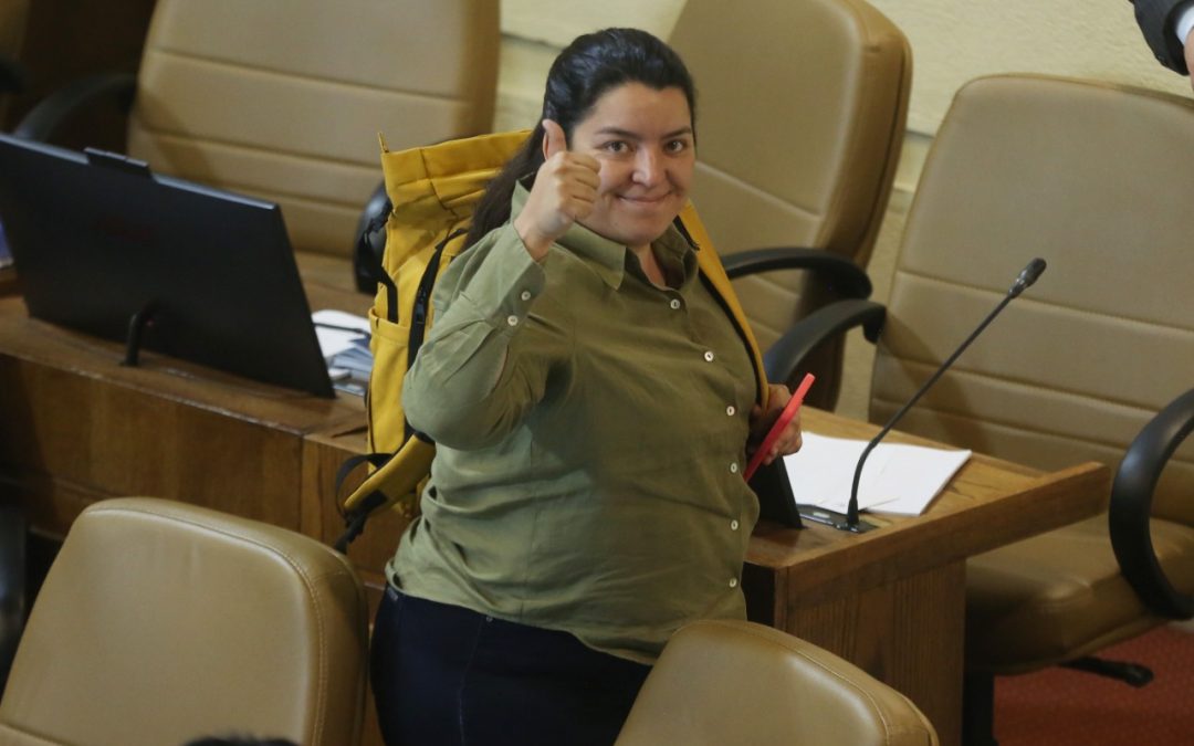 Diputada Romero sostiene reunión con ministro de Educación para zanjar situación de siete jardines Junji que aún no entregan atención