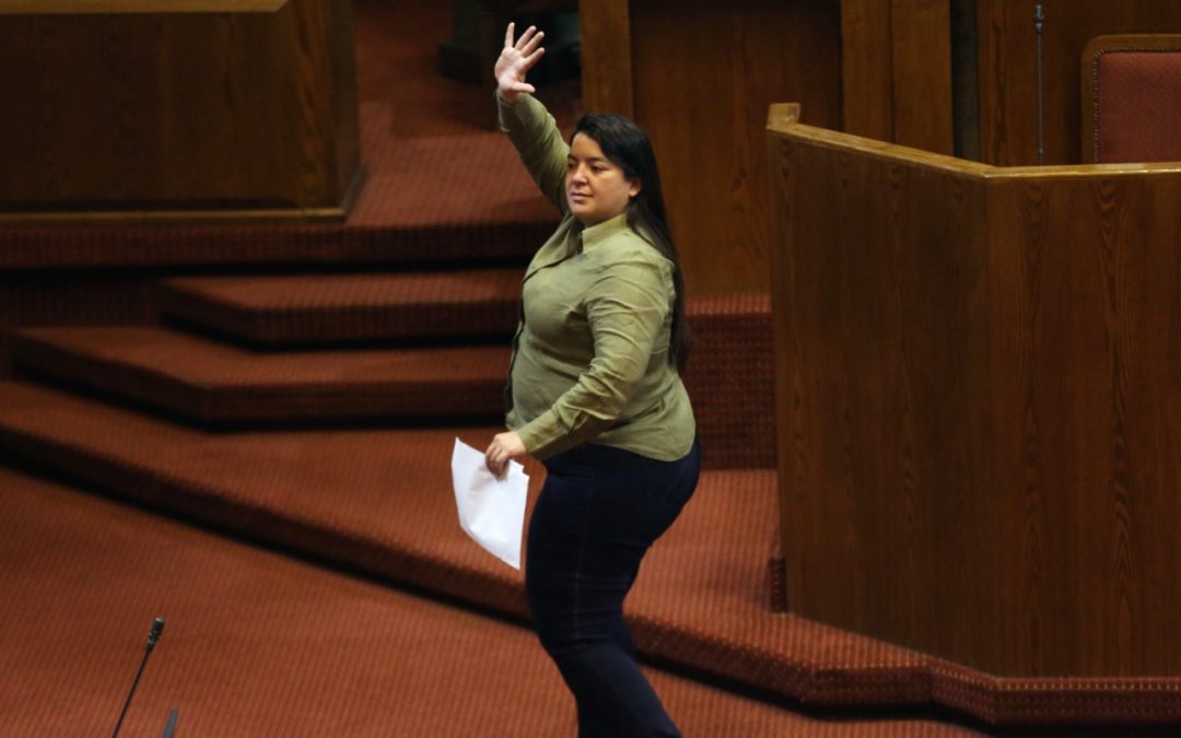 Diputada Romero respalda proyecto que crea un sistema de protección y reparación integral para las víctimas de femicidios y sus familiares