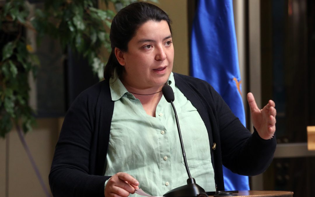 Diputada Natalia Romero tras conclusiones de la mesa técnica del Sistema de Admisión Escolar: “El informe nos dio la razón, el SAE es un tremendo fracaso y se debe corregir”