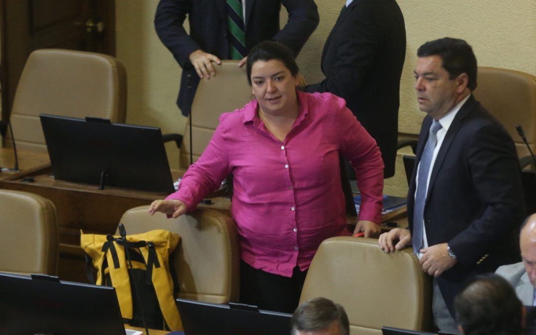 Diputada Romero manifiesta su preocupación por problemas en aplicación de pauta que busca determinar el riesgo en que se encuentran las víctimas de violencia intrafamiliar