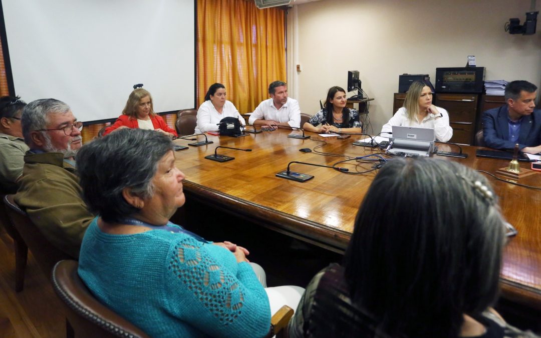 Diputada Romero se reúne con dirigentes de ferias libres y compromete apoyo a proyecto de ley que busca regular y fortalecer la actividad