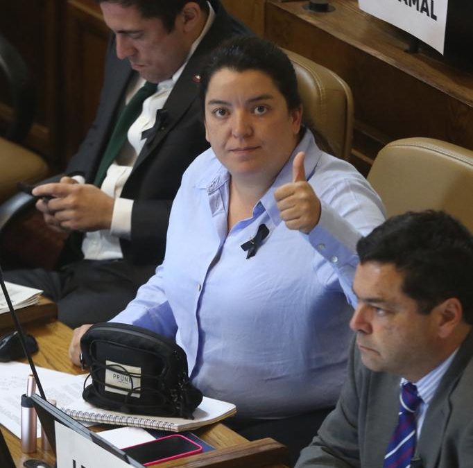 Diputada Natalia Romero pide que bebidas energéticas incluyan advertencias de salud para proteger a menores