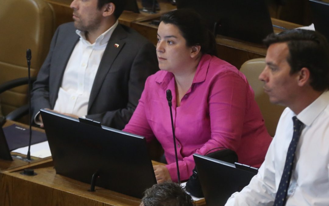 Falta de horas para renovar licencias de conducir: Diputada Romero solicita extender documento por tres años para conductores sin infracciones graves