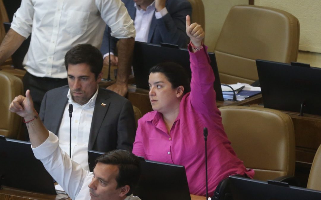Diputada Natalia Romero critica medida del SII: «Amenaza con estrangular a miles de pequeñas empresas»