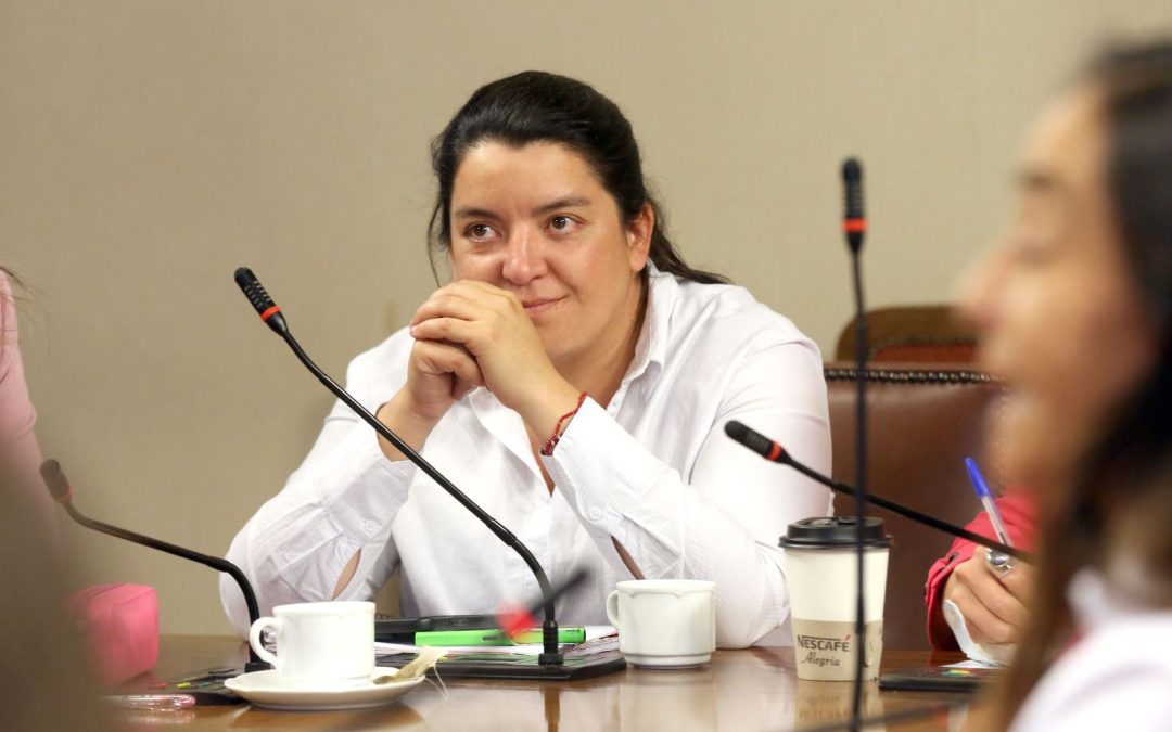 Diputada Natalia Romero llama a votar a favor del proyecto que busca restringir el uso de celulares al interior de las salas de clases