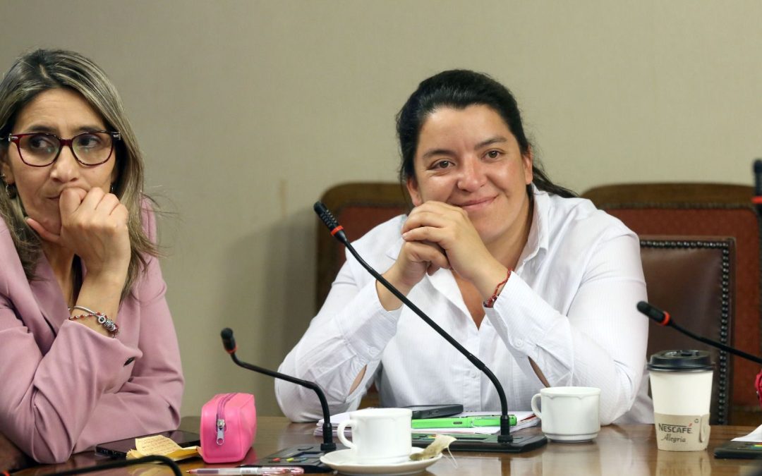 Cámara aprueba proyecto de la diputada Natalia Romero que prohíbe a tribunales divulgar datos personales de víctimas de violencia intrafamiliar