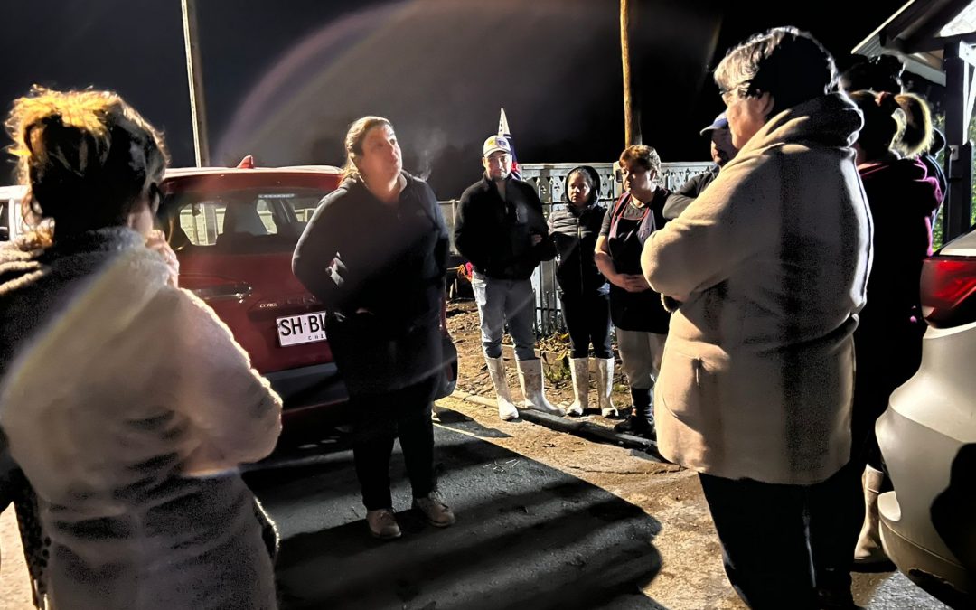 Diputada Romero respalda aumentar sanciones contra el robo de tendido eléctrico y emplaza al Gobierno a tramitar reglamento de la ley “Chao Cables”